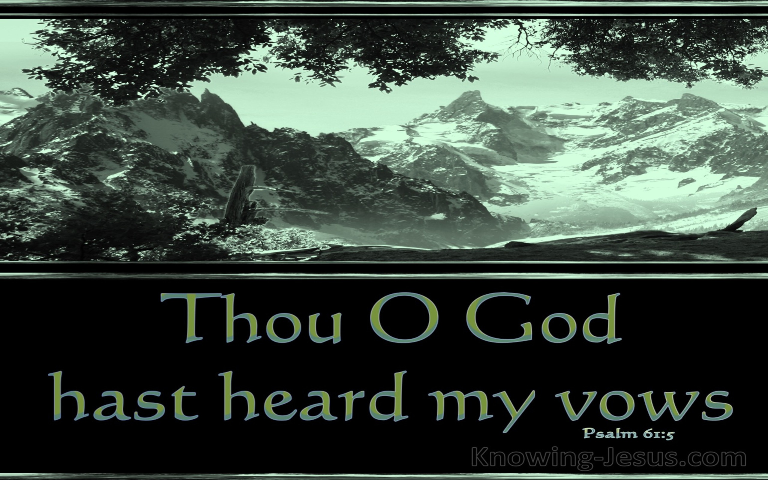 Psalm 61:5 Thou Hast Heard My Vows (black)